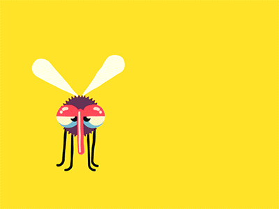 mosquito
